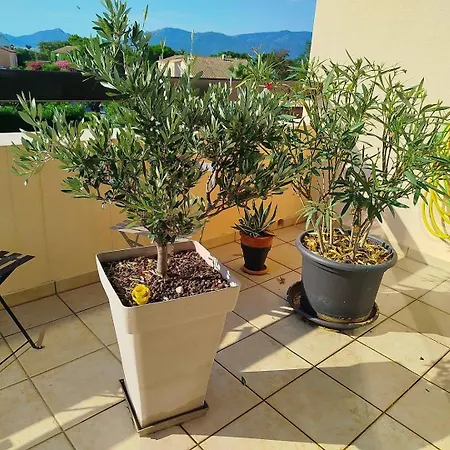 Bel Appartement Climatise Avec Piscine Et Parking - 6Refc5 *