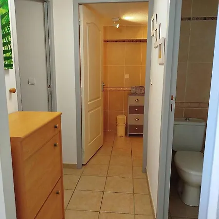 Bel Appartement Climatise Avec Piscine Et Parking - 6Refc5 * Saint-Cyprien
